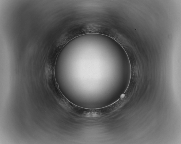 X0000116430751200912081524