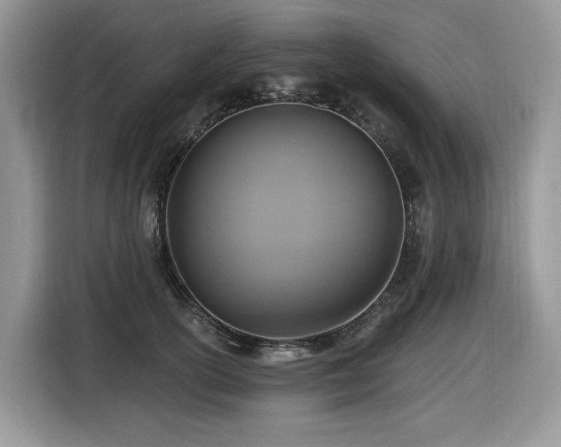X0000116430754200912081524