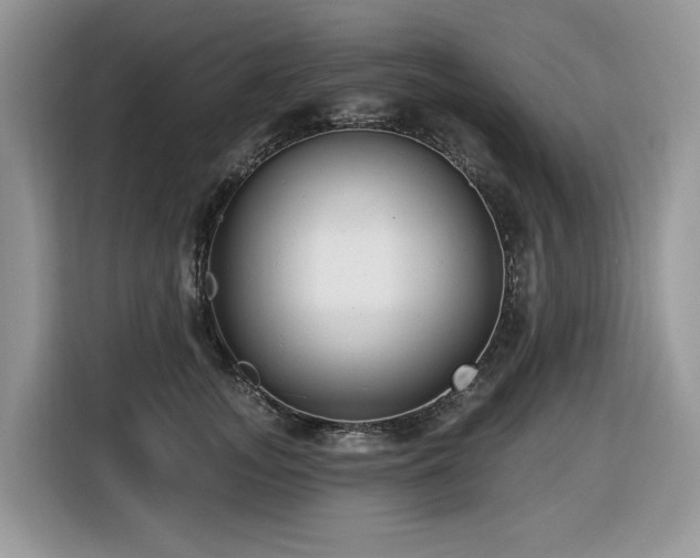 X0000116430755200912081524