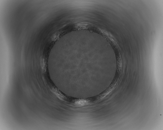 X0000116430759200912081524
