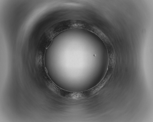 X0000116430762200912081524