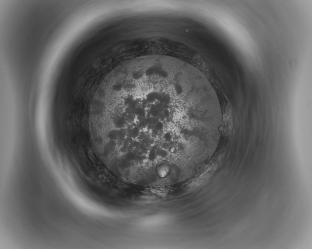 X0000116430765200912081524