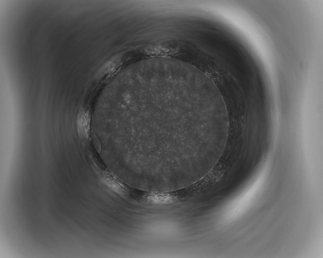 X0000116430767200912081524