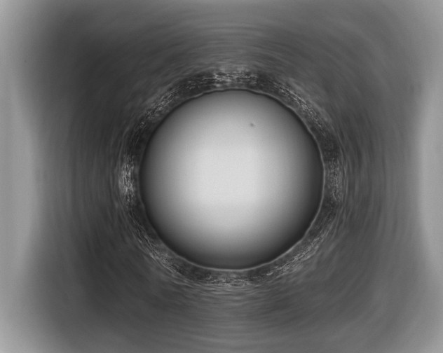 X0000116430770200912081523
