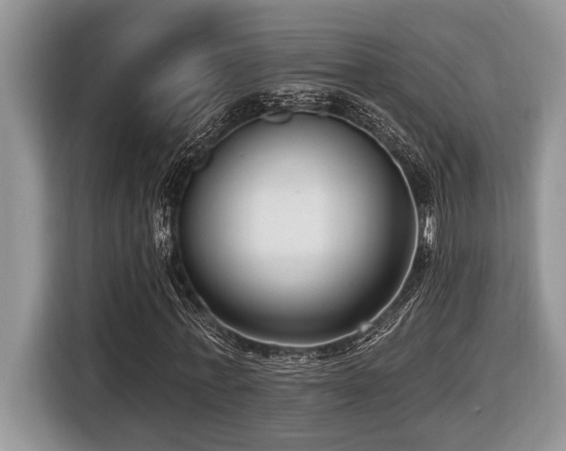 X0000116430771200912081523