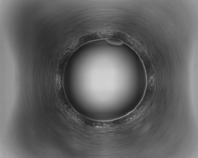 X0000116430772200912081523