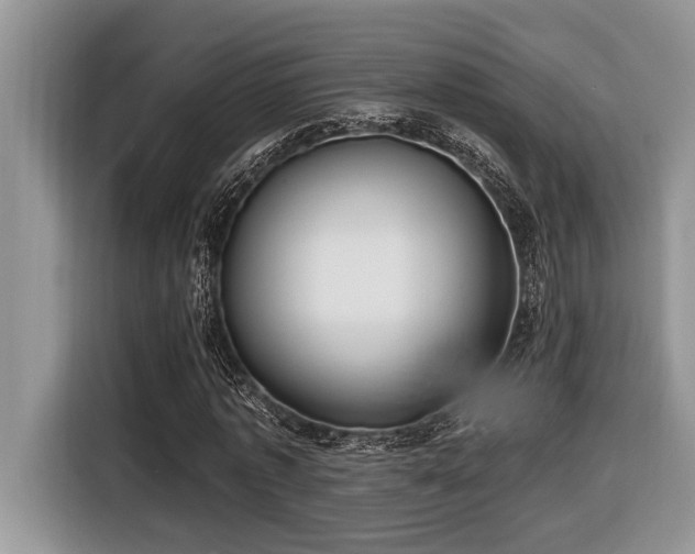 X0000116430773200912081523