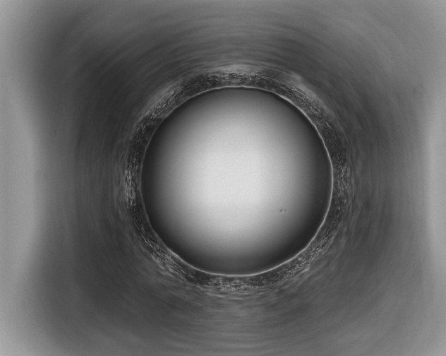 X0000116430774200912081523