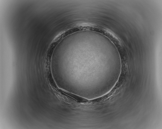 X0000116430775200912081523