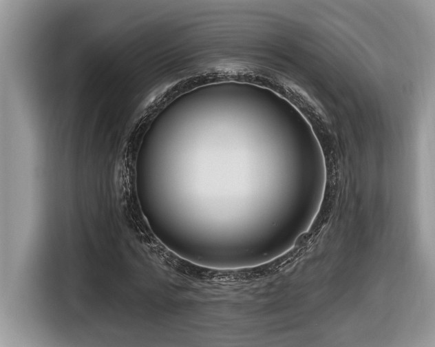 X0000116430776200912081523