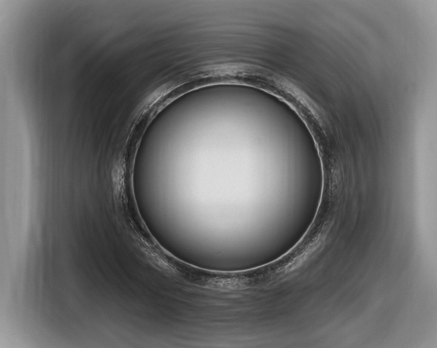 X0000116430778200912081523