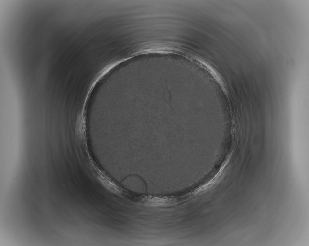 X0000116430779200912081523