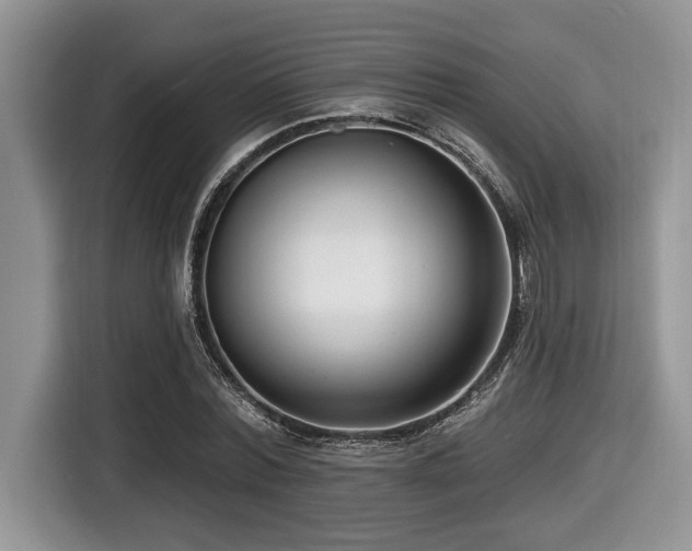 X0000116430780200912081523