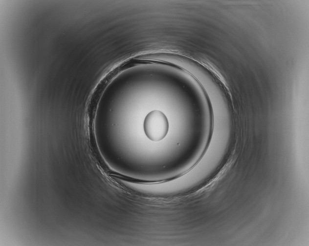 X0000116430781200912081523