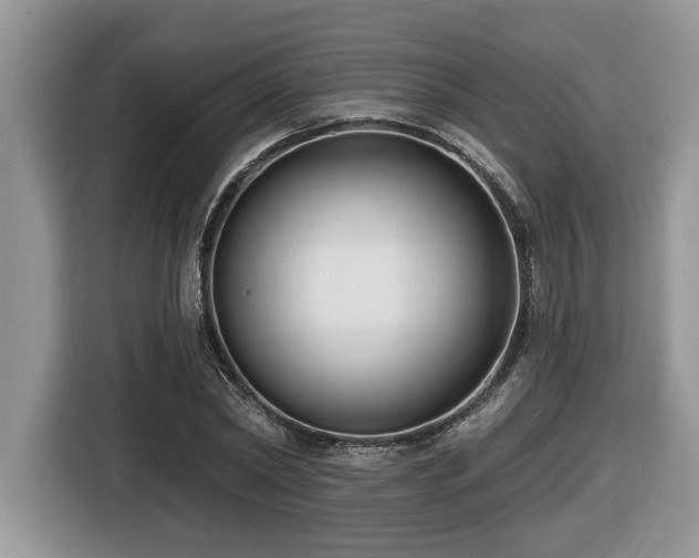 X0000116430782200912081523