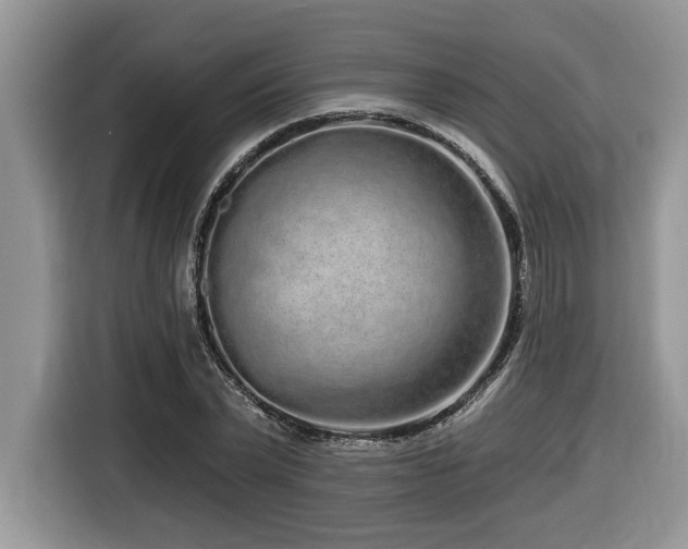X0000116430783200912081523
