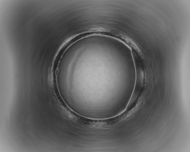 X0000116430784200912081523