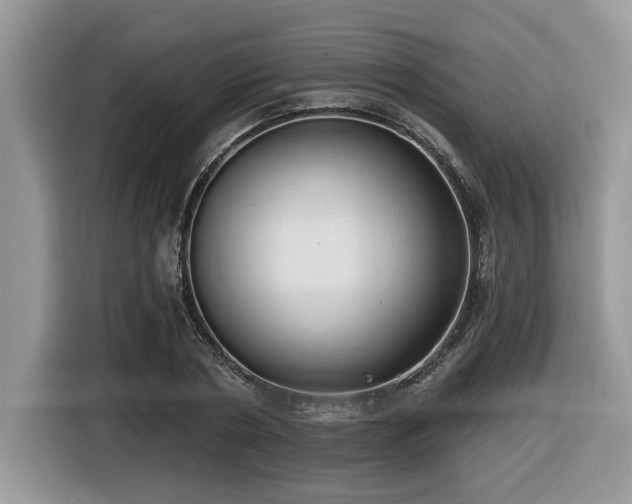 X0000116430786200912081523