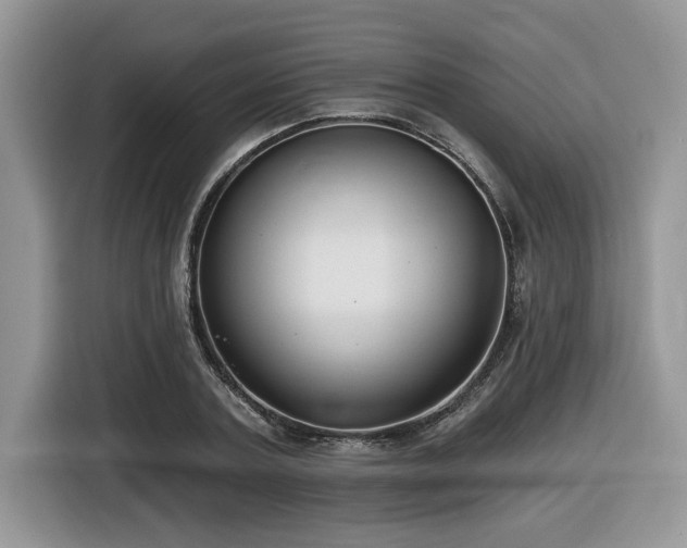 X0000116430787200912081523