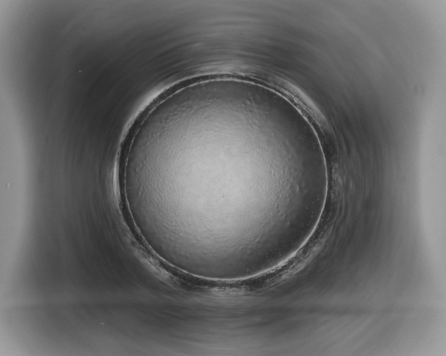 X0000116430788200912081523
