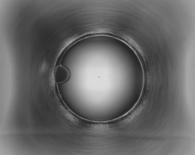 X0000116430789200912081523