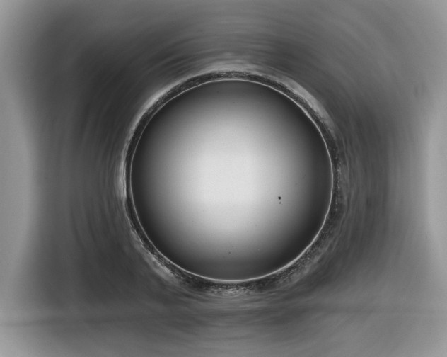 X0000116430791200912081523