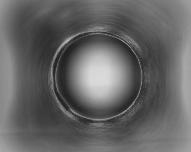 X0000116430792200912081523