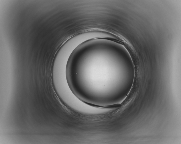 X0000116430793200912081523