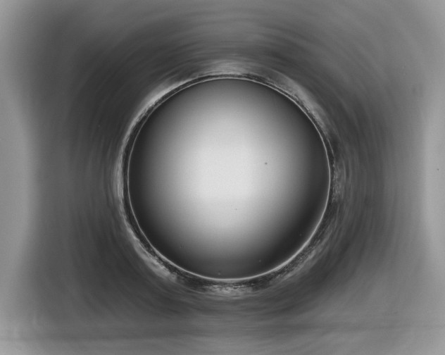 X0000116430795200912081523
