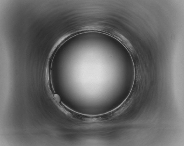 X0000116430796200912081523