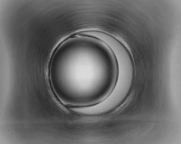 X0000116430797200912081523