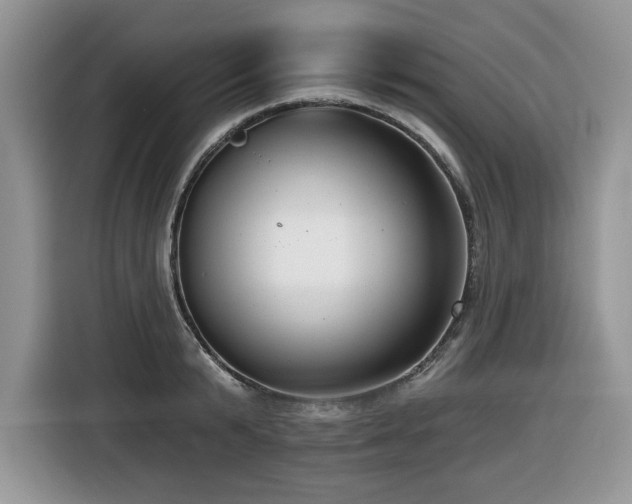 X0000116430799200912081523