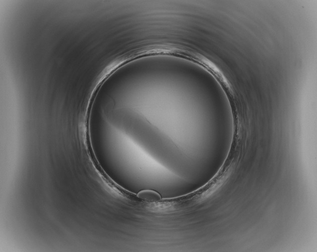 X0000116430802200912081523