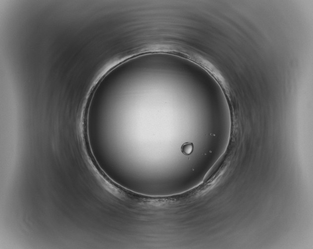 X0000116430803200912081523