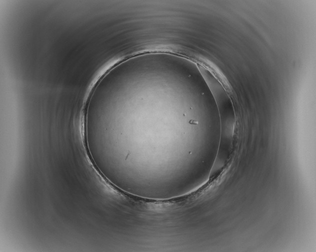 X0000116430804200912081523