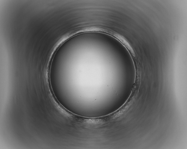 X0000116430805200912081523