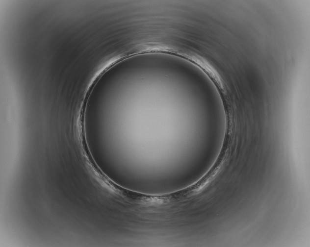 X0000116430806200912081523