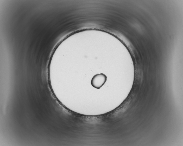 X0000116430807200912081523