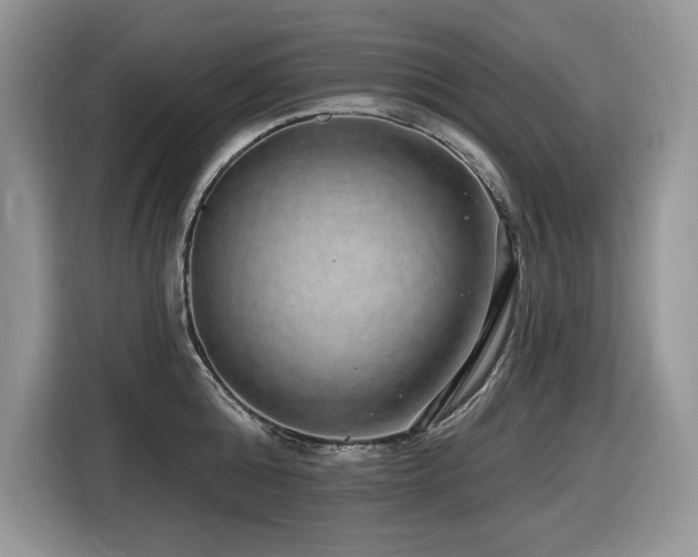 X0000116430808200912081523
