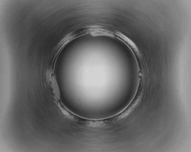 X0000116430809200912081523