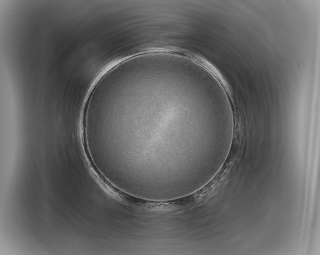 X0000116430811200912081523