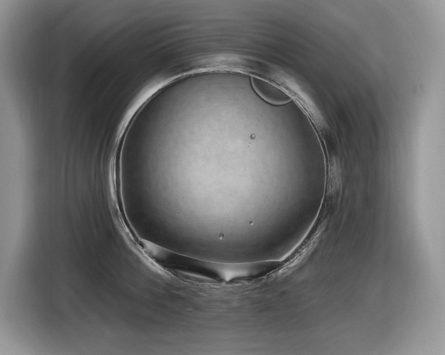 X0000116430812200912081523