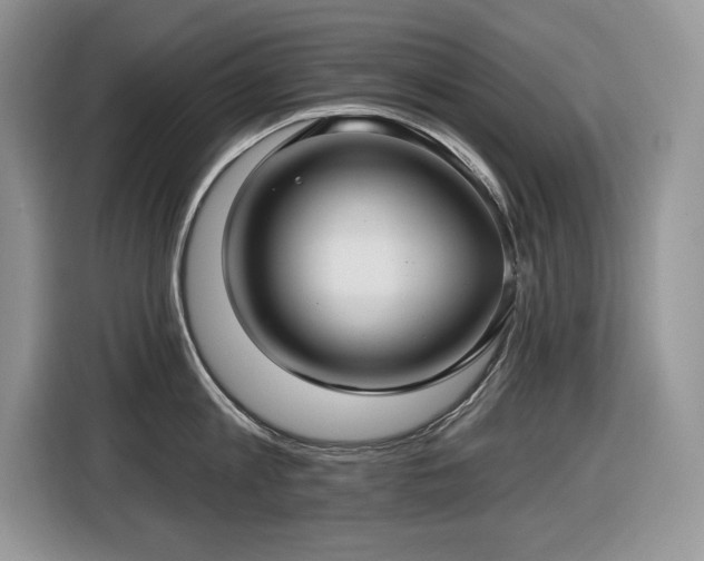 X0000116430813200912081523