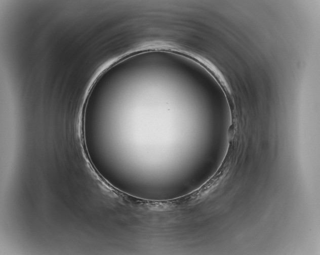 X0000116430815200912081523