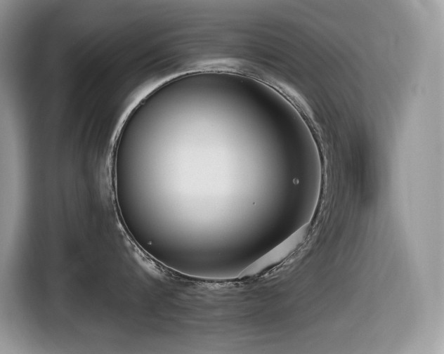 X0000116430816200912081523