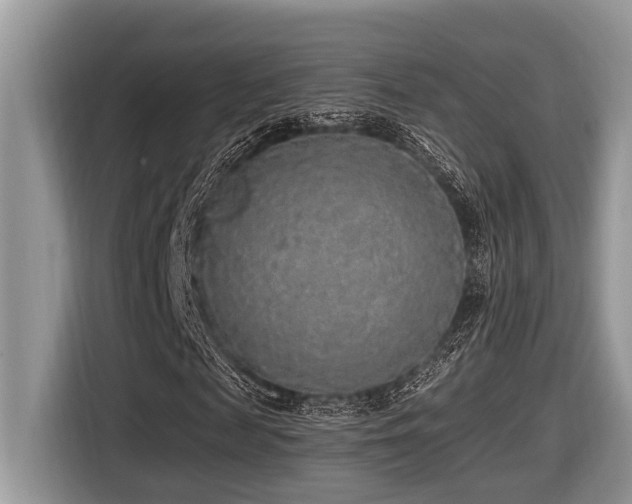 X0000116430817200912081522