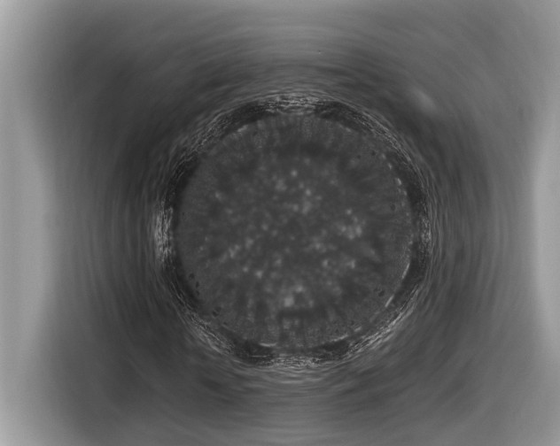 X0000116430818200912081522