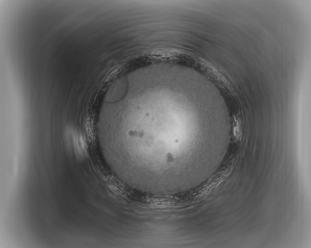 X0000116430819200912081522