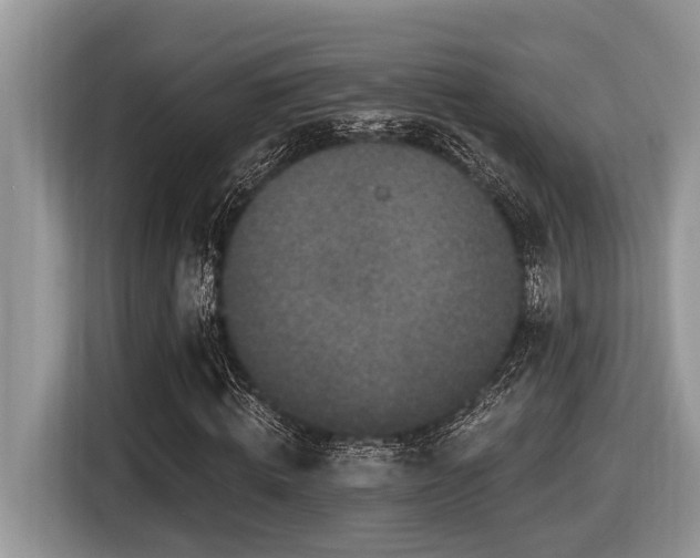 X0000116430820200912081522