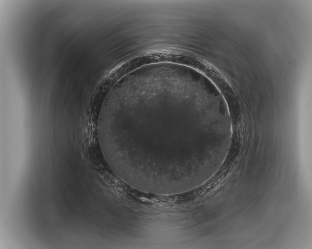 X0000116430822200912081522